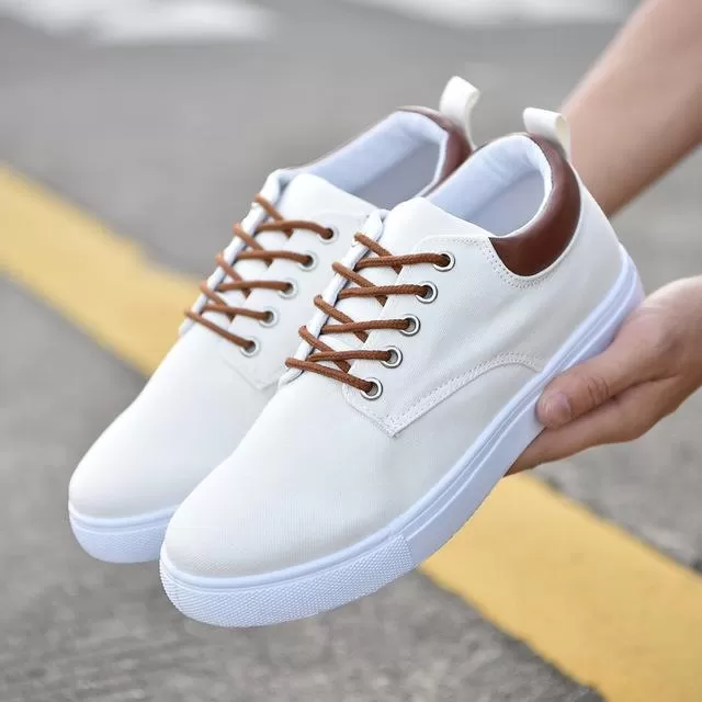 Spring Summer Comfortable Casual Canvas Lace-Up Shoes for Men