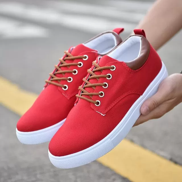 Spring Summer Comfortable Casual Canvas Lace-Up Shoes for Men